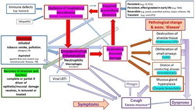 Time to re-set our thinking about airways disease: lessons from history, the resurgence of chronic bronchitis / PBB and modern concepts in microbiology